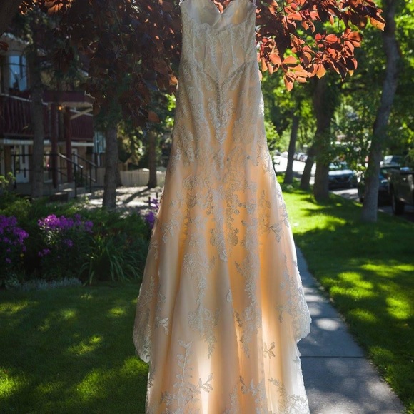 Wedding Dress - White / Cream - Picture 5 of 5